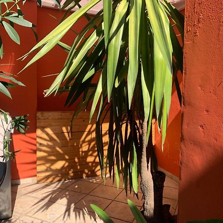 Villa Coyoacan Kota Meksiko Bagian luar foto