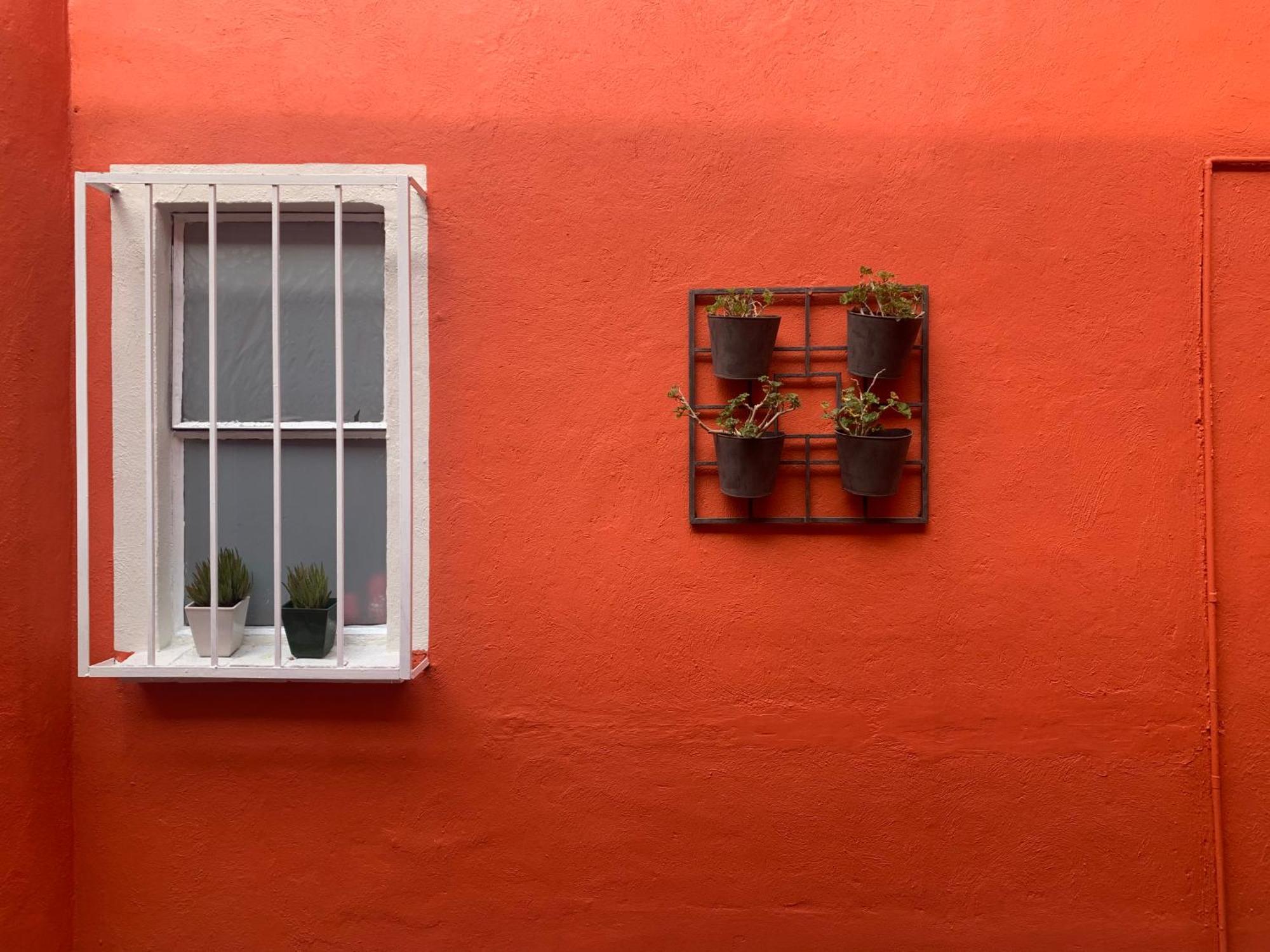 Villa Coyoacan Kota Meksiko Bagian luar foto