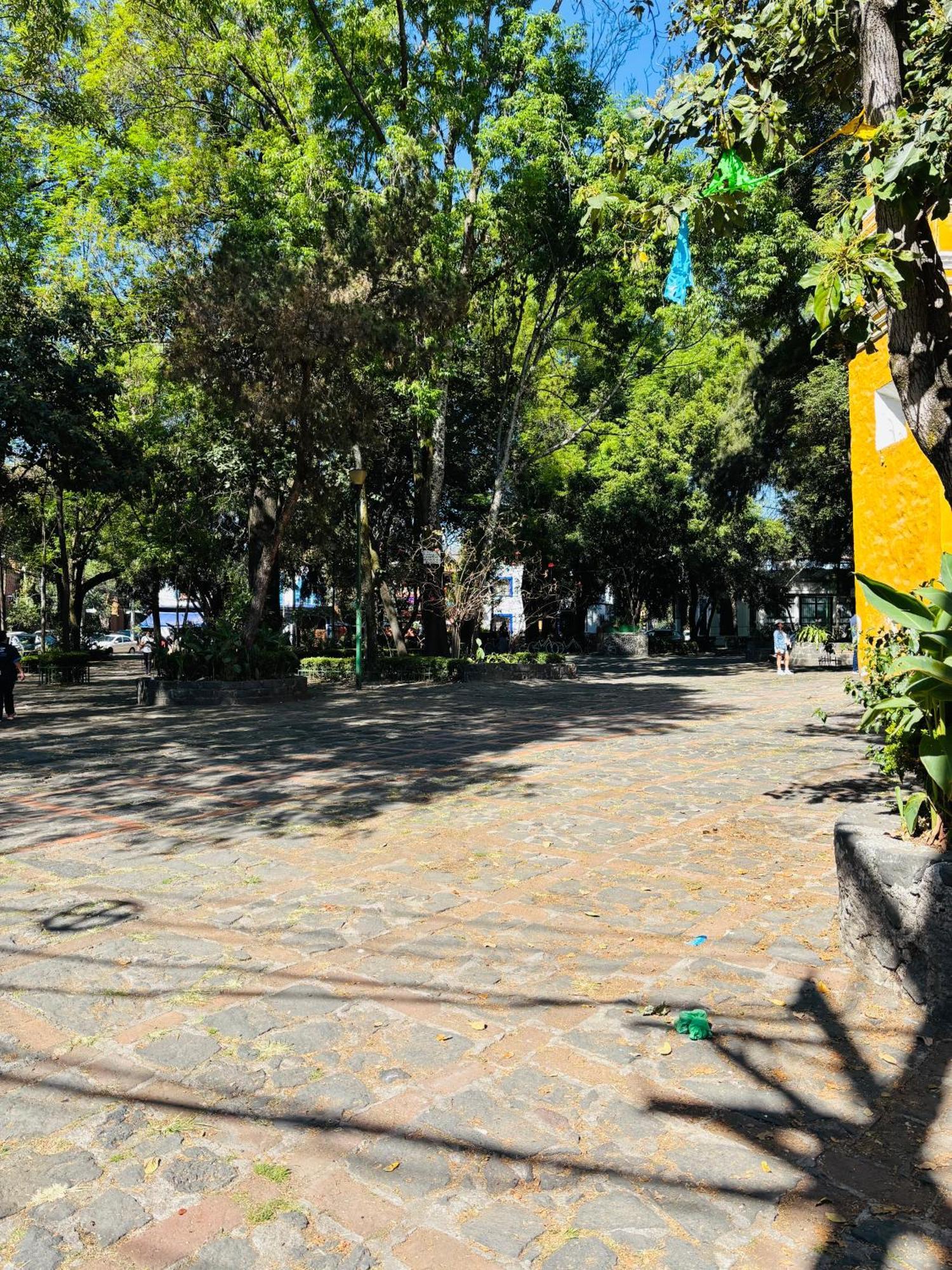 Villa Coyoacan Kota Meksiko Bagian luar foto